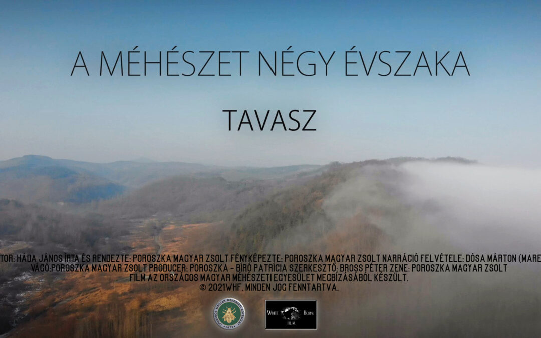 A méhészet négy évszaka, TAVASZ