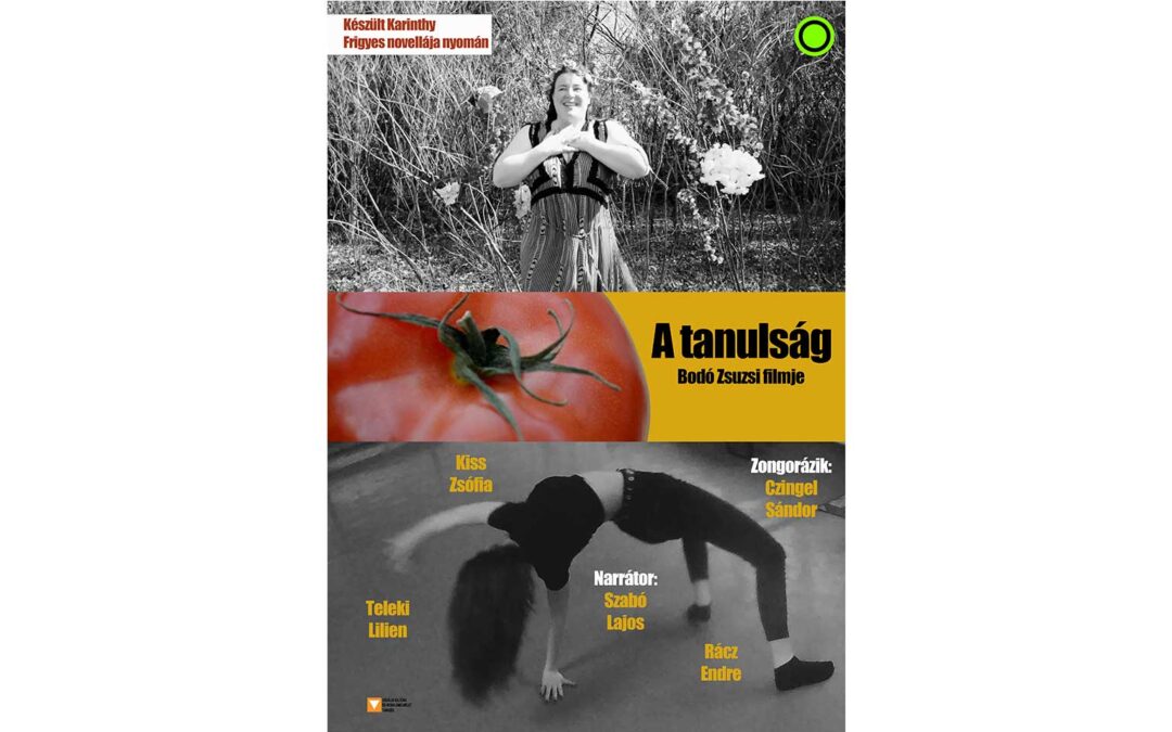 Karinthy Frigyes – A tanulság