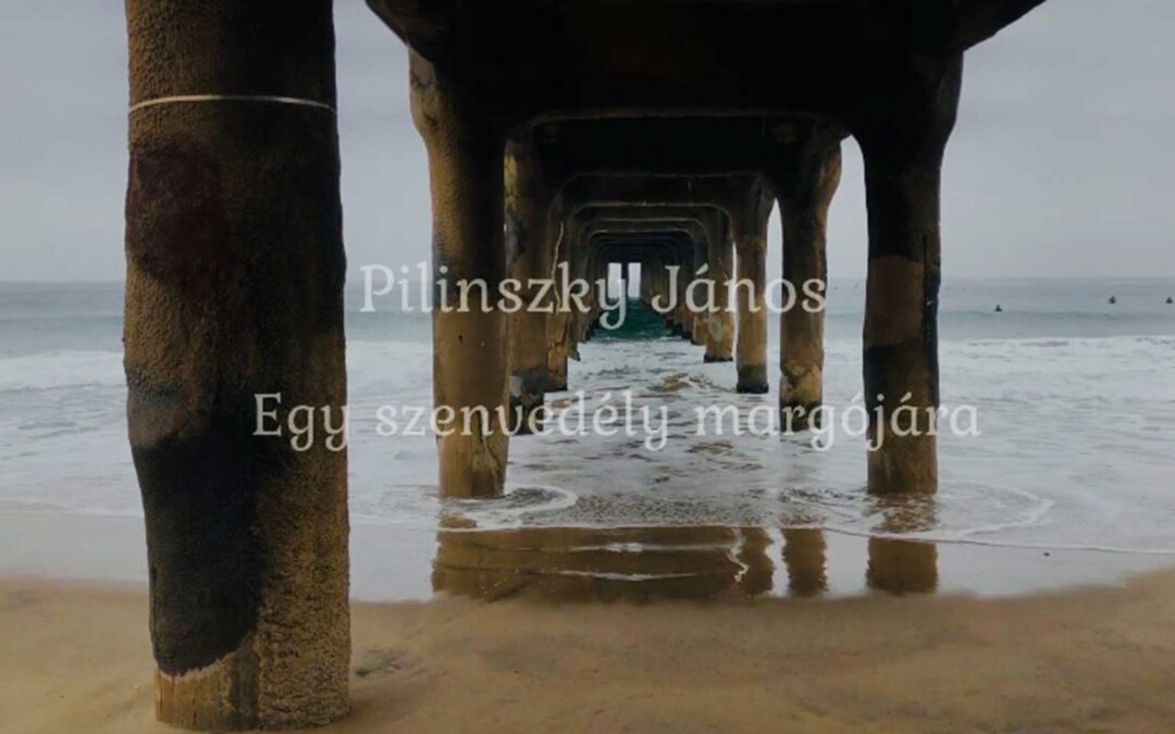 Pilinszky János : Egy szenvedély margójára