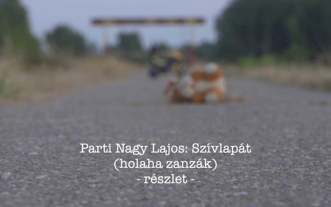 Parti Nagy Lajos: Szívlapát (holaha zanzák – részlet)