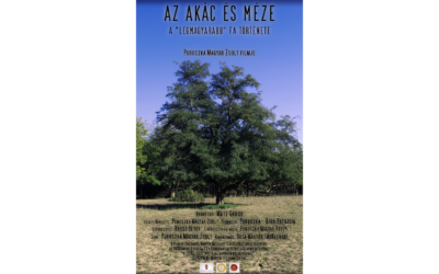 Az akác és méze, a „legmagyarabb” fa története